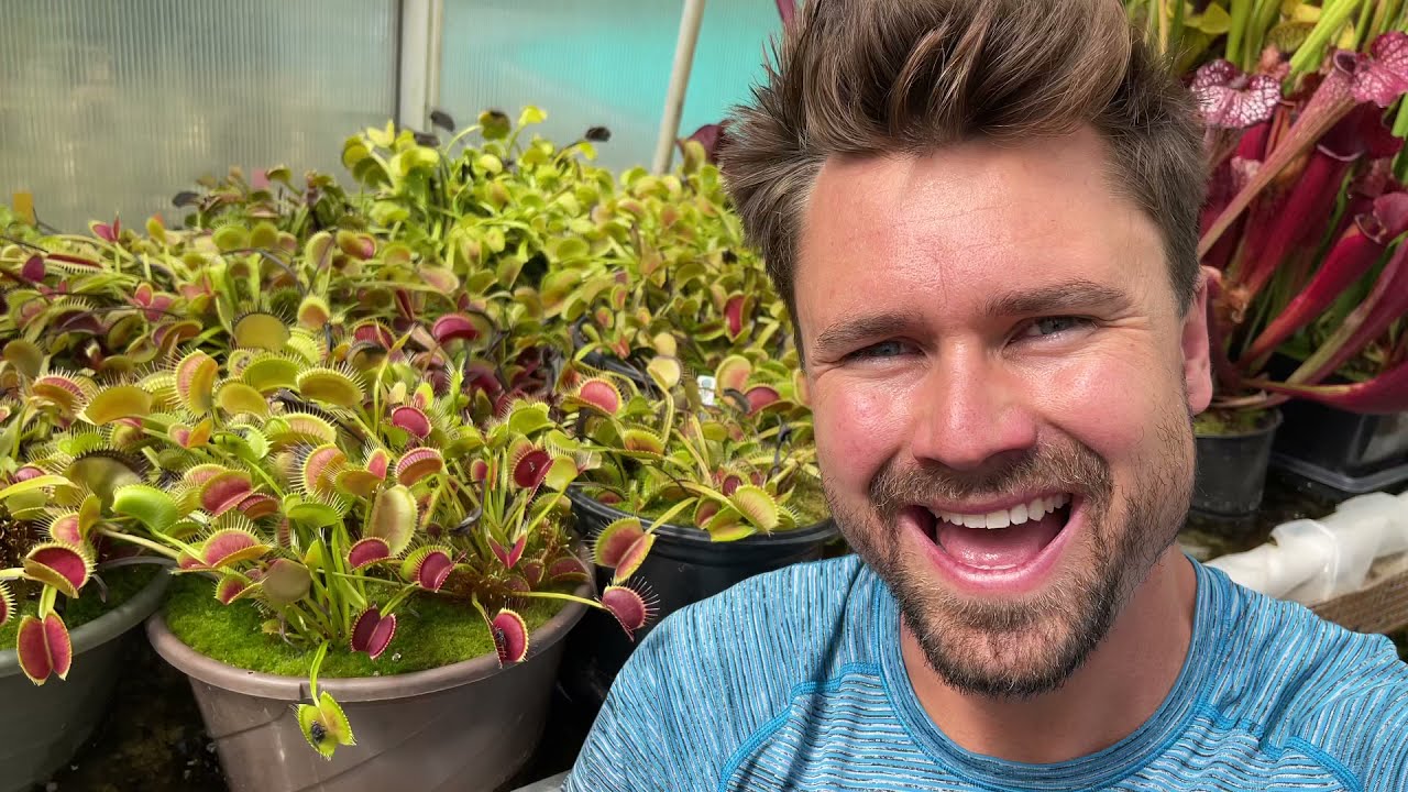 2021 Temperate Carnivorous Plant Greenhouse Tour - Jeremiahs Plants
