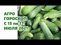 Агрогороскоп с 15 по 17 июля 2021 года