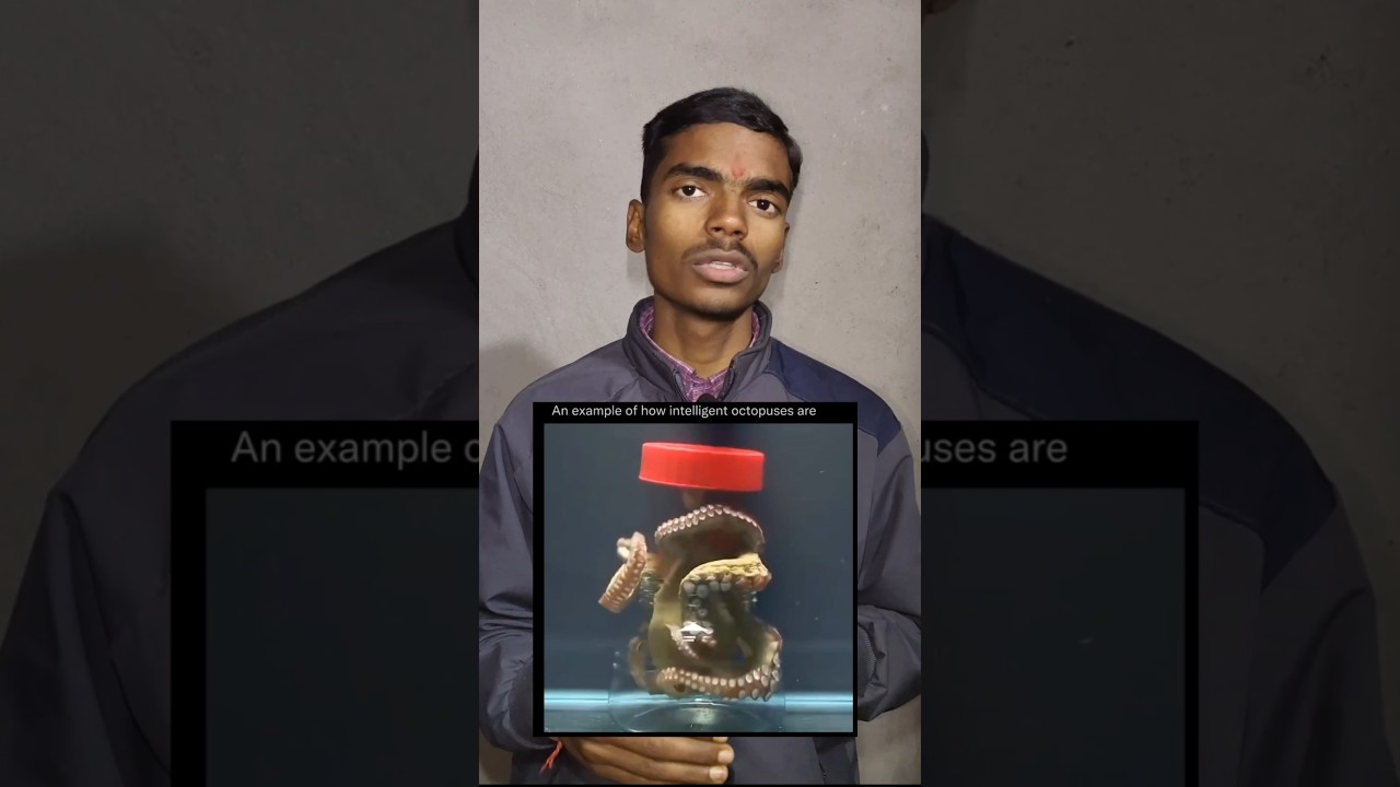 Octopus ki Intelligence 😲 | Samundar ka Sabse Smart Animal 🐙