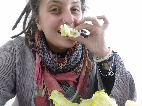 რას ვჭამ II - თევზი და სოკო