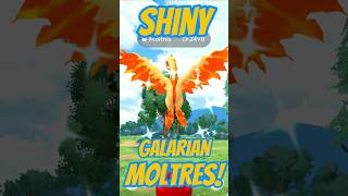 ✨️I Caught a *SHINY GALARIAN MOLTRES* In Pokémon GO!✨️ #pokemon #shorts