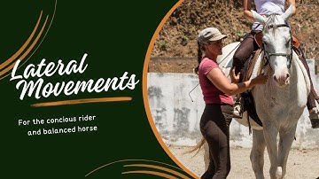 Seamless Transitions in Lateral Movements. From Shoulder-In to Travers: Using the Corners.