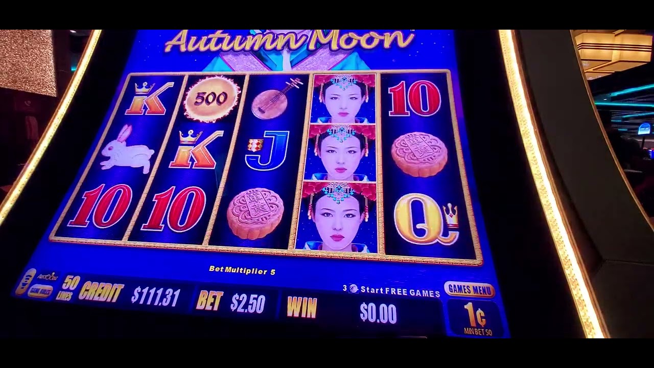 793-my-dream-comes-true-20231111-232205-youtube