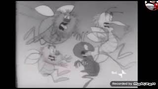 Bichos Gritando Como Raid Parte 1