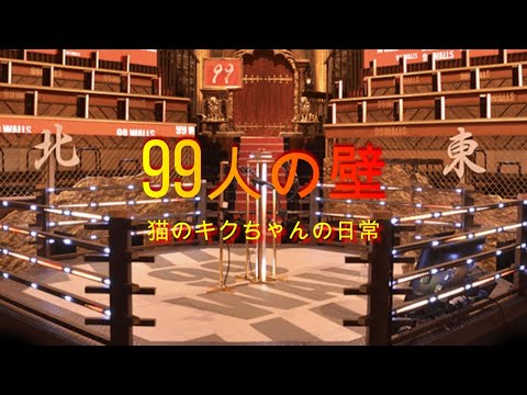 【クイズ99人の壁】デブ猫キクちゃん VS ブロッカー