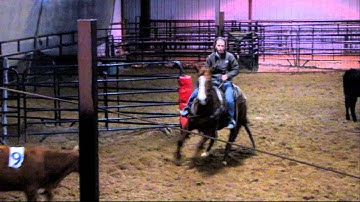 Cee Myote Mate - sorting 1 - Valley View Ranch