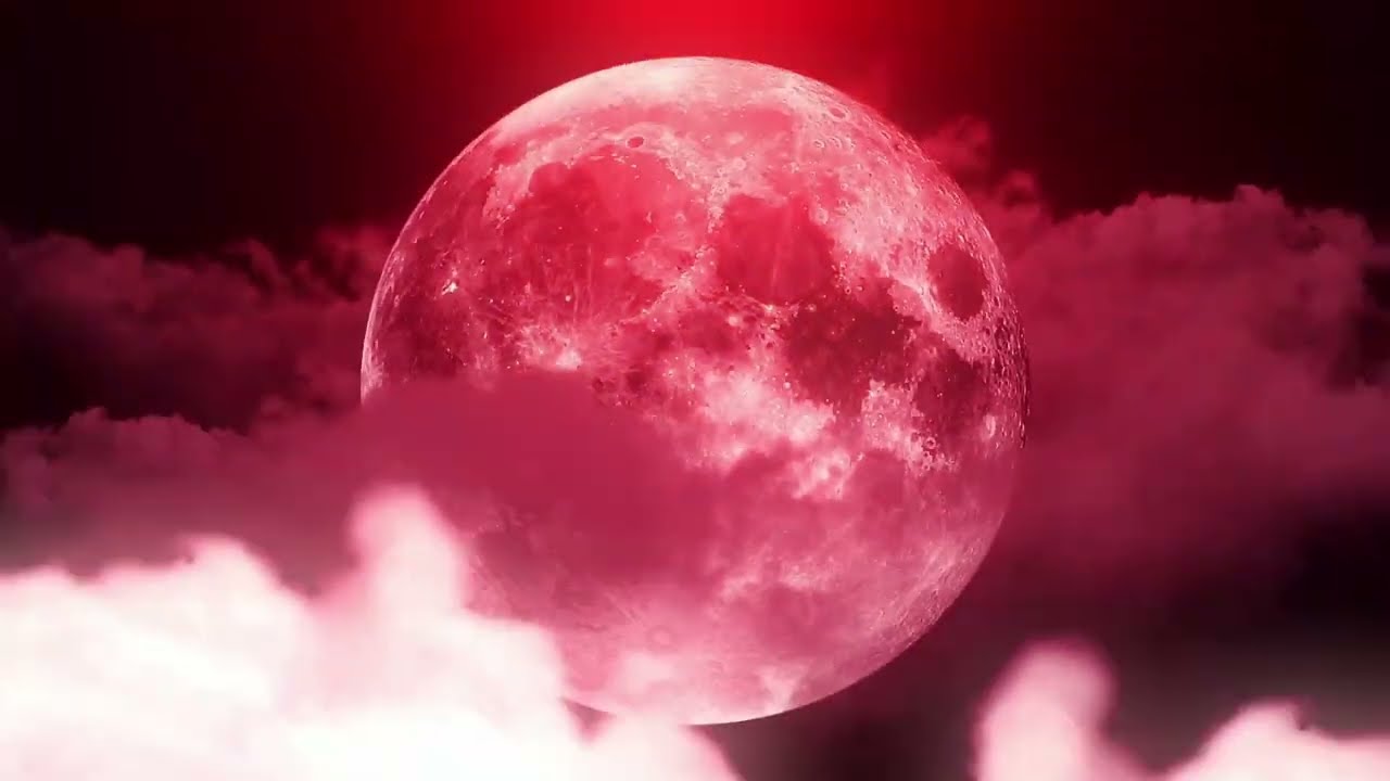 nine vicious ~ margiela steppin {slowed + reverb}