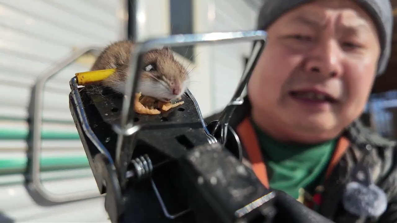 At the Land on 2/14/2026