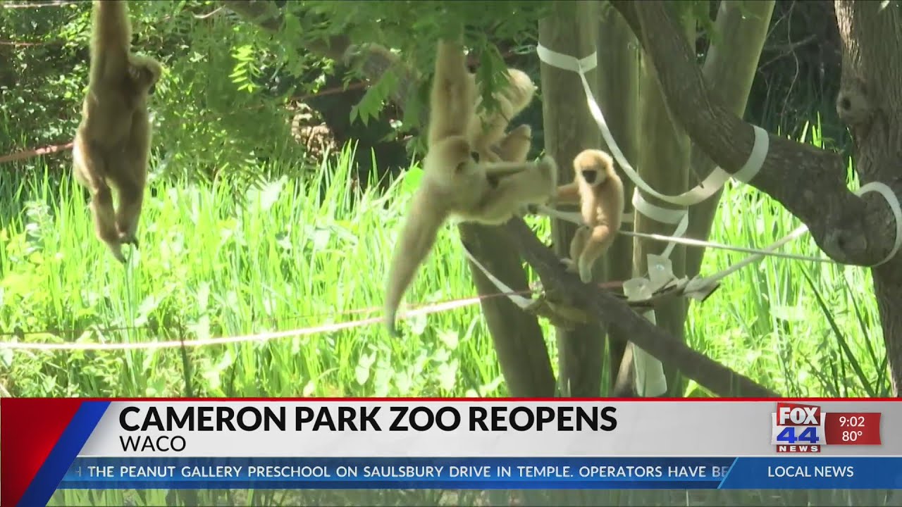 Cameron Park Zoo reopens, could spark Waco tourism