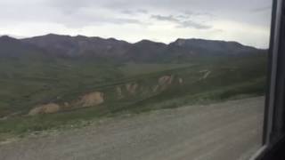 Shuttle bus tour denali national park 1