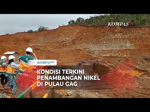 Kondisi Terkini Tambang Nikel di Pulau Gag Pasca Penyetopan Kementerian ESDM