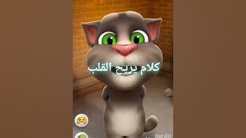 سوره الإخلاص بصوت القط توم لتعليم الاطفال