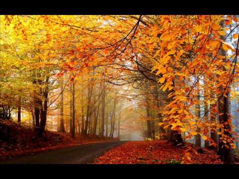 შემოდგომა - ივეტა პავლიაშვილი