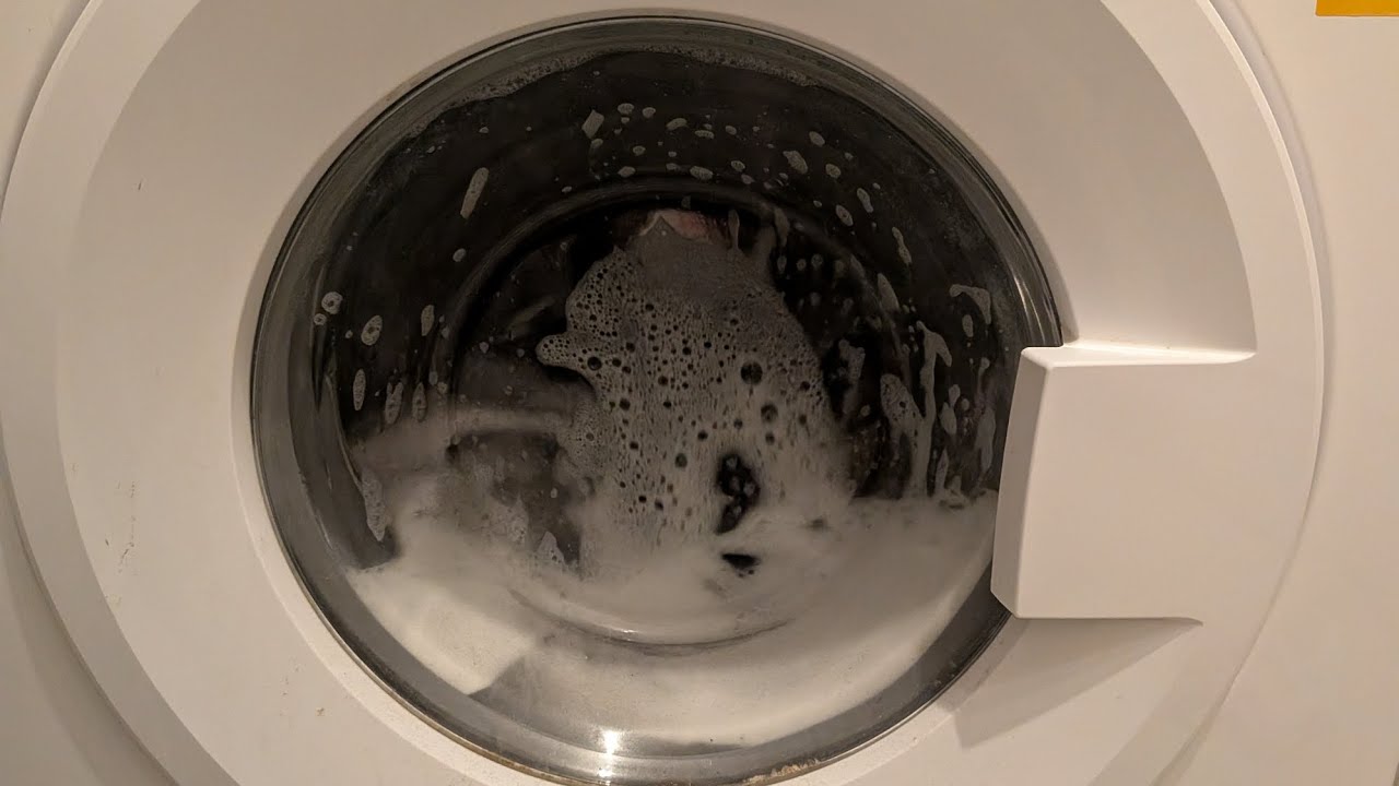 A Bush Washing Machine Spinning round and Round #asmr 