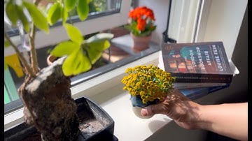 My slow city life / thoughts on resilience / cooking salmon soup