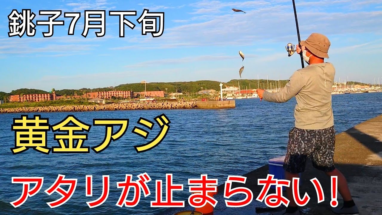 昼間から釣りをして激渋かと思ったら夕方の時合いで黄金アジが入れ喰い！泳がせ釣りの釣果は?