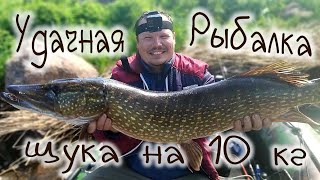 ЩУКА 10 кг монстр на Выборгском заливе , удачная рыбалка на спиннинг #рыбалка