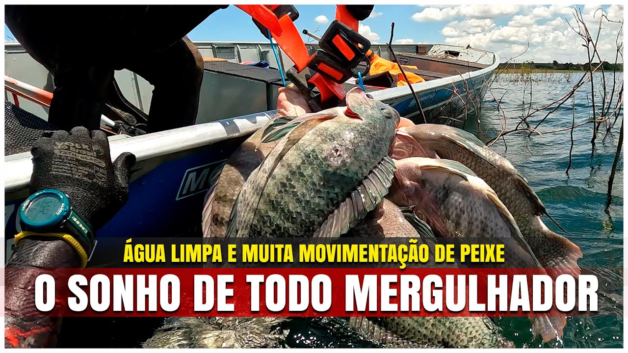 Pesca Sub - O sonho de todo Mergulhador