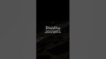 تلاوة قران كريم من سورة الزمر 🤍🌿