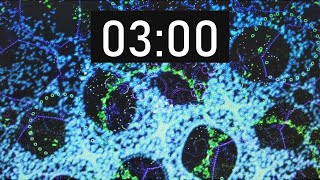 3 Minute Kaleidoscope Timer with Music
