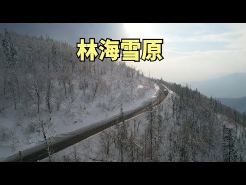 自驾中国东北，在零下20度的气温中，见到了林海雪原