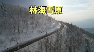 自驾中国东北，在零下20度的气温中，见到了林海雪原