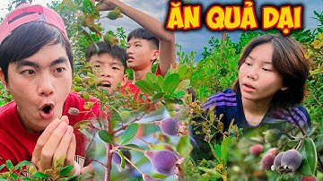 Thái Chuối Một Ngày Tìm Trái Cây Mọc Dại Quanh Làng Ngon Nhức Nách