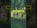 Feel 7 Years Younger with Trees!