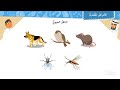 الأمراض المعدية الأمراض المعدية