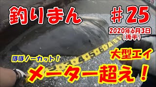 釣り初心者