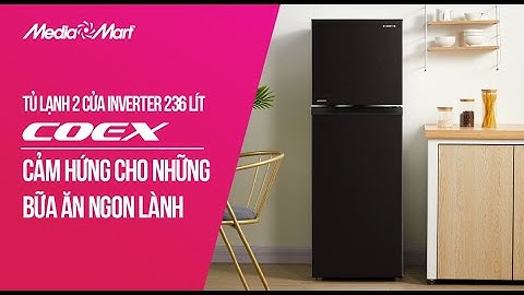 Tủ lạnh Inverter Coex 236 lít: Cảm hứng cho những bữa ăn ngon lành (RT-4004BS) - Điện máy MediaMart