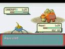 Pokemon Emerald Bug Type Mono Team: Vs Maxie