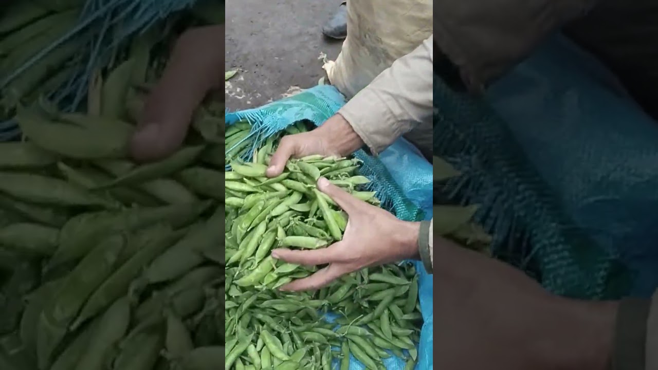 Aaj Ke Sabzi Mandi Rates boht hi Kam Manga Mandi Lahore Daily info