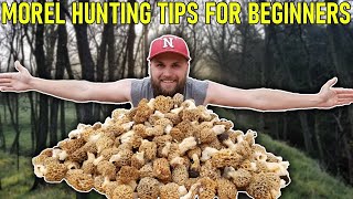 MOREL Mushroom Hunting Tips for BEGINNERS | Everything YOU Need To Know!