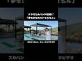 ドラえもんバンドのスカパンクMV… #夢をかなえてドラえもん #ドラえもん #スカパンク #実写 #AIカバー #アニソン