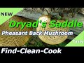 Find Clean Cook (Dryad's Saddle 2018) Pheasant Back Mushroom Identification and look alikes