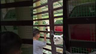 Bende Paling Perit Bila Pjj Kene Tinggl Anak N Wife Kt Kdanung