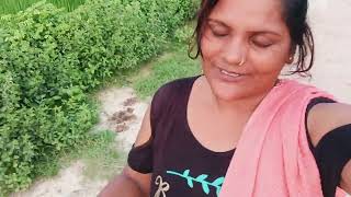 5 September 202 Aaj Ka Bilo Khas Hone Wala Hai 5