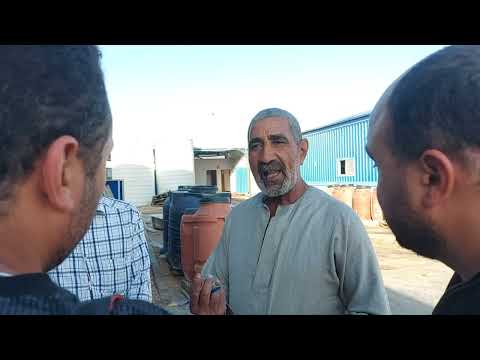روحنا الأقصر وشفنا أساطير تجفيف الطماطم وتصديرها لأوروبا والبرازيل الطن بيوصل 2500 دولار