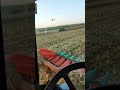 #jhondeer #colheita #milho #agro #farming