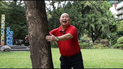 DENR Tree Hugging Campaign