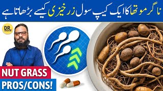 Nagarmotha Ke Fayde/Istemal | Nut Grass Benefits/Uses | Cyperus scariosus | Dr. Ibrahim