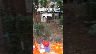 makan mie ayam #mieayam #mieayamviral #mieayammurah #kemayoranjakartapusat #jakartapusat