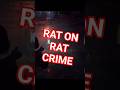 Rat Gets Ratted Secret Spot Dam Secure Loot Container l Arc Raiders PVP #arcraiders #gaming #rat