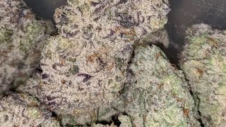 Strawberry Meltshake Strain Review : StrainAfterStrain Reviews 