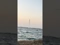 الشيخ ريان المحيسني