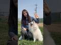 飼い主の動きをしっかり見て真似する相棒が今日も賢い