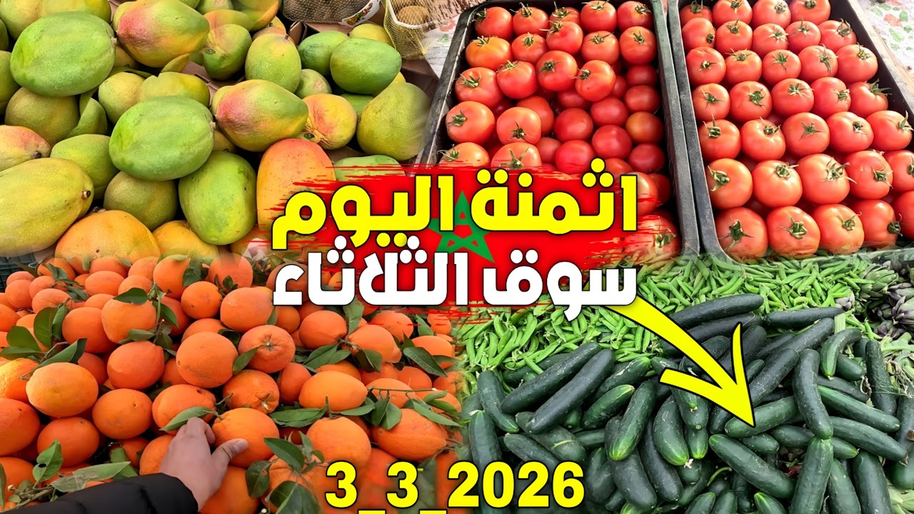 سوق الثلاثاء بركان أين وصلت أثمنة الخضر والفواكه والدواجن اليوم 13 رمضان - 3_3_2026