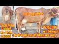 #Forsale अच्छी गाय की किमत ईतनी कम क्यो ? 100% शुद्ध विडियो #sahiwalcow