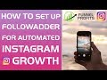 Why Is Instagram Auto Following